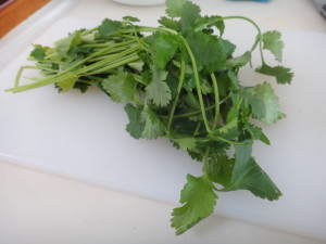 cilantro